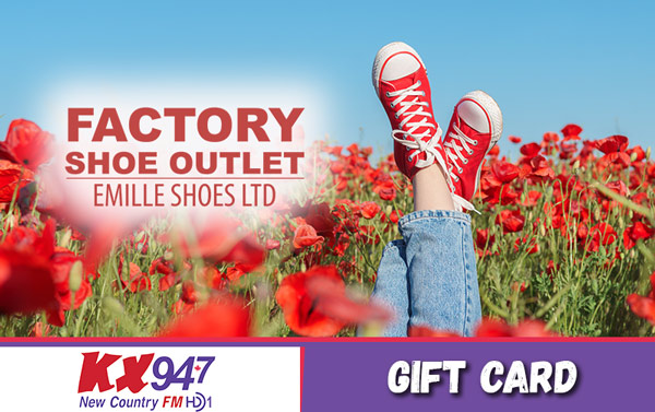 Free Gift Card to Emille Factory Shoe Outlet in Burlington!
