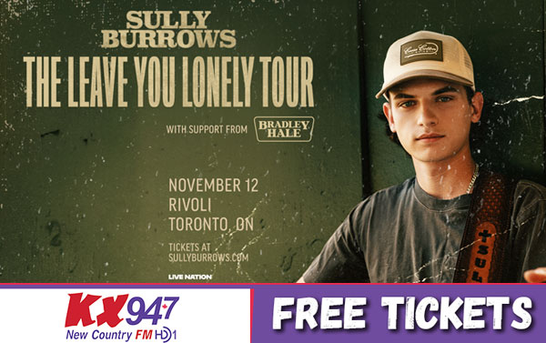 Artist of the Year - Sully Burrows @ The Rivoli